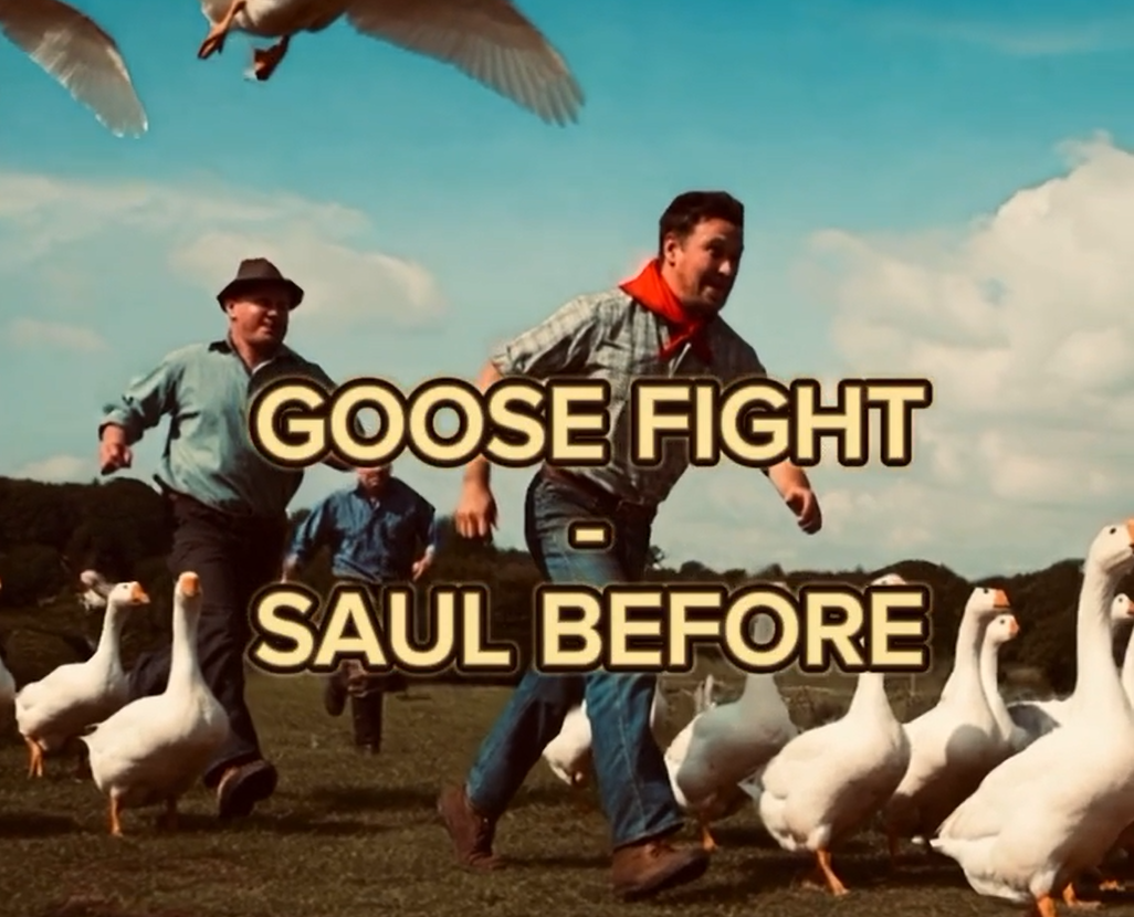 Thumbnail for Goosefight